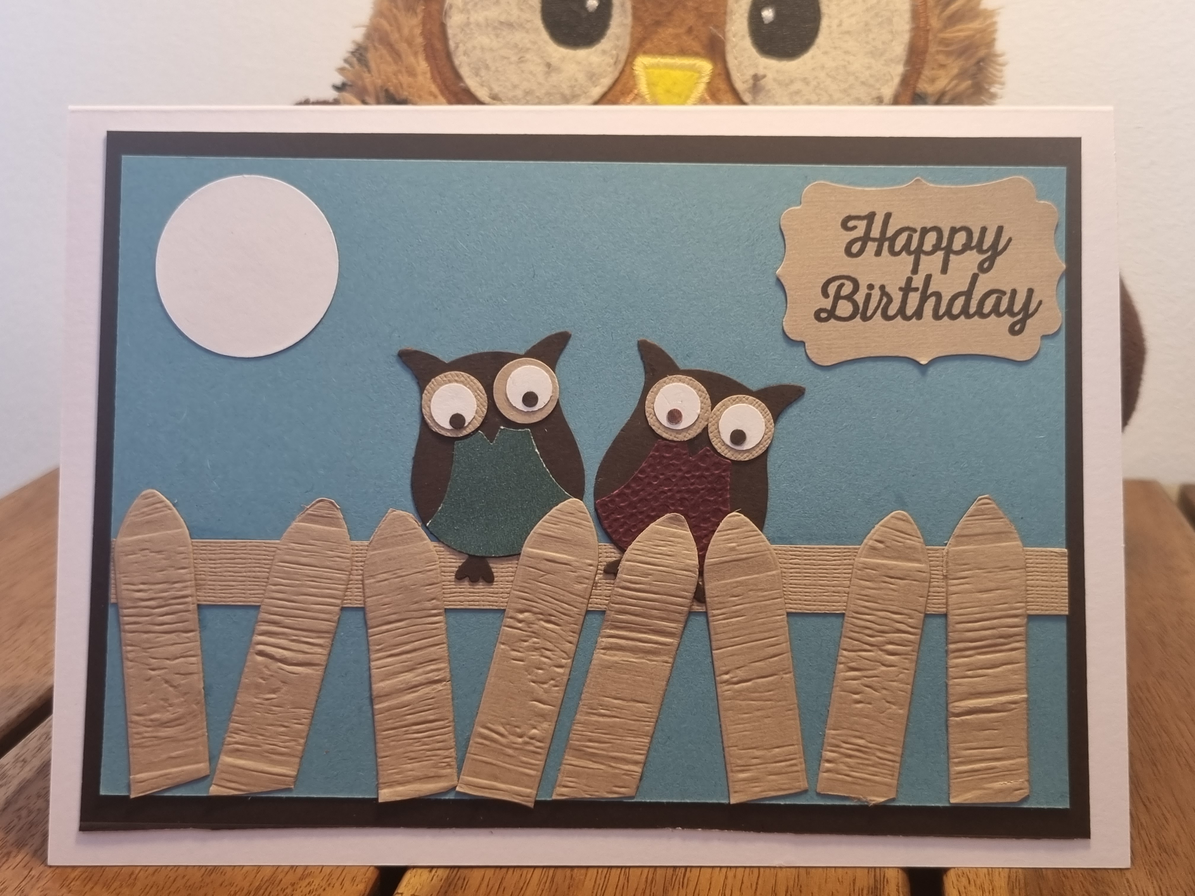 Double Fence Owl Birthday Card
